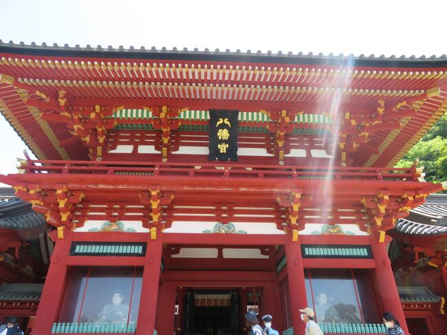 毎年初詣に行ってた鎌倉。<br />去年に続いて今年も色々あって、やっと行けたのが6月。<br />大河ドラマ「鎌倉殿の13人」の効果もあってか人出が戻ってきていました。<br /><br />(その1)<br />鶴岡八幡宮へお詣りさせていただきます。<br />茅の輪くぐりでお清めをして、大石段の上から眺める鎌倉の風景に心を喜ばせて。<br />境内の大河ドラマ館を見学します。<br /><br />旅行日:2022年6月2日<br />投稿日:2022年6月5日<br />
