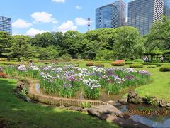 久し振りに皇居東御苑を訪問しました②大手門～二の丸庭園