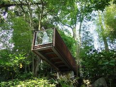 熱海の街歩き。来宮神社の飛び出す展望台にどきどき。