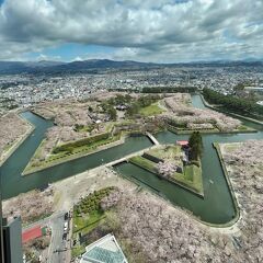 お花見前線、北上でも....葉桜。レストラン バスク/五稜郭/函館国際ホテル・朝食バッフェ（函館市）22/5/2