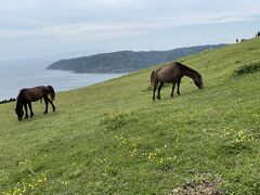 GWにリベンジ旅行宮崎編①