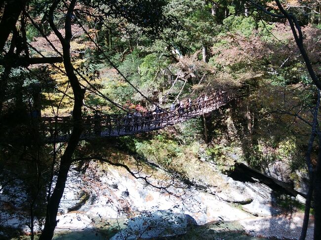 紅葉を見に秘境・大歩危小歩危へ行きました。ちょっと早かったですが・・・。秘境の温泉宿で絶品温泉を愉しみ、かずら橋を渡り、鳴門の有名店で魚、徳島駅前で老舗の大判焼き、大歩危の道の駅で猪鹿バーガーを食しました。