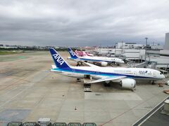 福岡の休日～福岡空港に行ってきました。沢山の飛行機を食事をしながら見物しました（*'‐'*)♪