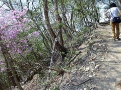 花見の盛りを過ぎた京都、ヤマザクラと時代劇ロケ地を。