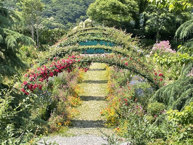 娘と行く高知（モネの庭・牧野植物園）2日間　1日目