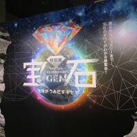 上野公園・国立科学博物館での宝石展