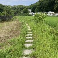 徳島’22 ④歩き遍路～高松へ移動