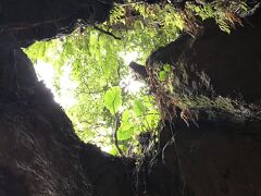 梅雨の沖縄