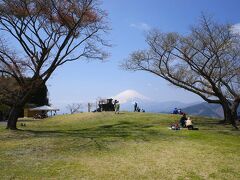 【丹沢】谷峨駅～大野山～山北駅　春の日帰り登山