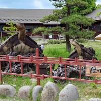 2022年6月　山梨・石和・甲府旅行♪さくらんぼ狩り♪温泉♪旅行先でも野球観戦♪