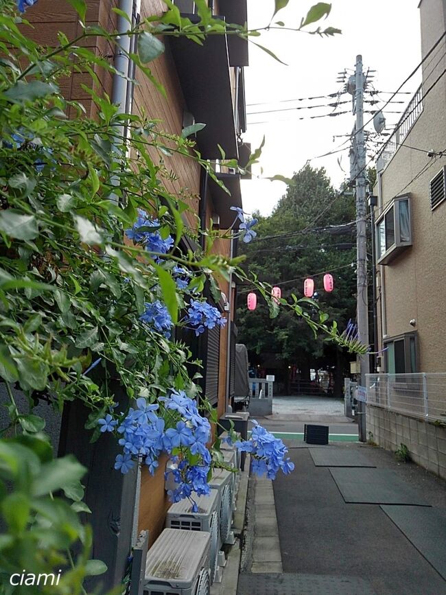 乗ったことない電車と、降りたことない駅。<br /><br />神社巡りのおまけ(笑)