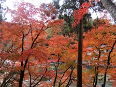 香嵐峡の素晴らしい紅葉