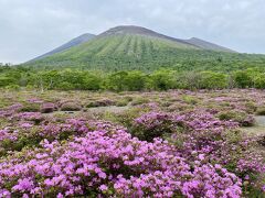 「 ミヤマキリシマを愛でる 1.」 鹿ヶ原から矢岳、竜王山