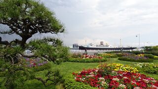 横浜ローズウィーク’22　山下公園「未来のバラ園」編