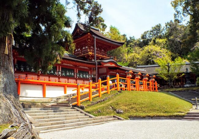 　もの凄く広大な敷地の『東大寺』の参拝を終え、次は朱色に輝く「国宝御本殿特別参拝」の『春日大社』参拝巡りに参ります。