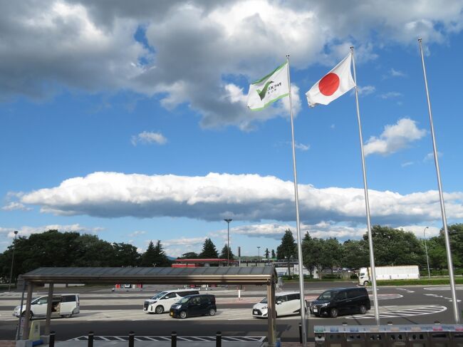 一年で１番きつい仕事が一段落する５月末の週末に、前にもやった、車での福島・栃木レッサーパンダ遠征、具体的には、福島県二本松市の東北サファリパーク（略して「東北サファリ」）と栃木県の那須塩原市の那須どうぶつ王国（略して「那須ど」）を、土曜日にのんびりアクセスして、日曜日と月曜日にハシゴすることにしました。<br />ところが、その計画を立てた時には、まさか2022年５月の最終週末、特に日曜日が、関東以北から東北あたりまで、場所によっては35度越えの真夏日になるとは思いませんでした！<br />真夏日の日曜日に東北サファリに行くことにしていましたが、10日前くらいの天気予報からちらほら見え隠れしていた雨マークが完全に消えたのは良かったです。<br />でも、東北サファリで目当てのほとんどのレッサーパンダは暑さに弱いので、室内展示場のない東北サファリで、真夏日だと、会えるでしょうか。<br /><br />でも、そのことは、杞憂に終わりました。<br />真夏並みの気温でも、この季節は関東以北はまだ湿度は低くかったと思うし、サファリパークはたいていそうですが、東北サファリも、そこそこ標高の高い山中にあって、街中より気温は低く、風も強い日だったので、熱中症が怖くて日ざらしのところでは日傘を差すようにしたおかげもあって、思ったより涼しく過ごせました。<br />そしてレッサーパンダたちは、東北サファリが山の中にあるからか、真夏でも、バックヤードと展示場を行き来自由にすることで、展示そのものは中止になることはないらしく、ちゃんと会えました！<br />もしこの週末、遠征ではなく、近場の関東の動物園に行くことにしていたら、どんなに暑かったかろうと思うと、いわばタイミング良く避暑できたことになるので、結果的にはラッキーだったと思います。<br /><br />車で東北サファリと那須どをハシゴする遠征は３回目です。<br />往路は土曜日の昼前に出発し、帰路は月曜日の夕方だったし、特に連休でもないふつうの週末に、渋滞しそうな時間帯を外したし、気温の高さは異常だったにせよ、天気は良かったので、気持ち良いドライブになりました。<br />目的地が同じなので、行程は前２回とだいたい同じですが、やはり少しずつ違っています。少しずつでも、それは本人にとっては大きな違いだし、那須どは去年10月以来ですが、東北サファリは１年ぶりなので、いろいろ新鮮でした。<br />また、東北サファリの前泊の岳温泉のホテルと、那須どの前泊の那須のホテルは、どちらも初めてのところになりました。<br />前に泊まって気に入ったところの予約が取れなかったせいもありますが、初めてのところに泊まるのは楽しいし、どちらも快適だったし、特に岳温泉のホテルは面白かったです。<br />那須のホテルは全７室のペンションで、日曜日の夜の前泊だったからか、宿泊者は私１人で、またまた貸切状態でした。<br /><br />車での遠征は、高速道路のサービスエリア／パーキングエリアや道の駅の寄り道も楽しいです。<br />今回も買い物は、往路のサービスエリア／パーキングエリアで楽しくすませました。<br />那須どは年パスを購入してモトがとれるくらいは出かけていますが、那須高原サービスエリアの手前で東北自動車道を出るので、往路の下りで那須高原サービスエリアを利用するのは１年ぶり、福島からの移動の上りの施設は初めてでした。<br />それに、福島は１年ぶり、那須も半年ぶりだったので、車での遠征はたったの１週間ぶりですが、またまたたっぷりおみやげを買ってしまいました。<br />ただ、往路で買い物をしすぎた自覚があったので、いつものように帰りに那須で道の駅に寄ることはせず、サービスエリア／パーキングエリアに寄ったのも、トイレ休憩や夕食休憩のみとなりました。<br /><br />帰路の最後の夕食休憩で楽しみにしていたのは、いつものように羽生パーキングエリア（上り）の鬼平江戸処で、今回も、そこのフードコートのお気に入りのうなぎ専門店でうなぎを堪能しましたが、今回は、いつもの白焼き丼ではなく、貯めたサービス券を利用して、うな丼の値段でうな重を味わいました。<br /><br />グルメといえば、今回はやたらと牛ステーキを食べました。<br />土曜日の往路の那須高原サービスエリア（下り）でのランチ、その日の夕食の会席料理、東北サファリの後の那須高原サービスエリア（上り）での夕食、そして那須どのレストランで和牛ステーキセットが復活していたので、やっぱりそれにしてしまいました！<br />つまり土曜のランチから月曜の夕食まで全８回あった食事のうち、４回も牛ステーキ！<br />私はどんだけ牛ステーキが好きなんでしょう。<br />でもふだんの日常で牛ステーキを食べることはほとんどないので、あしからず。<br />ただ、先週の群馬遠征とあわせて、２週末続けてグルメに浸ってしまったため、いつもより運動量はあったとはいえ、さすがにその後の日々は粗食に努め、せめて出発前の体重に戻さなければならなくなりました（苦笑）。<br /><br />＜東北サファリパークと那須どうぶつ王国ハシゴ自体は３度目でちょうど１年ぶりの旅行記のシリーズ構成＞<br />■（１）アクセス＆みやげ＆グルメ：夏日のドライブ日和～ステーキづくしのグルメ～福島みやげの買い物は１年ぶり<br />□（２）岳温泉前泊＆東北サファリパーク色々～提灯のお囃子に迎えられホテルパラダイスヒルズは会席夕食付き<br />□（３）那須高原前泊＆那須どうぶつ王国色々～ガストホフ・ハイウイングは貸切状態で＆どうぶつ王国みやげ物色<br />□（４）東北サファリパーク：換毛中でも可愛いレッサーパンダたち～ひながいたシロフクロウやなかよし広場ほか<br />□（５）東北サファリパーク：ドッグランと新しいドッグサーカスも含め５つのショーを見学～世界のクマコーナー<br />□（６）那須どうぶつ王国：真前でレッサーパンダ全員に会えてリンゴタイムとトレーニングはぎりぎり見られた他<br />□（７）那須どうぶつ王国：スナネコの三つ子にナマケモノ・コモンマーモセット・アシカの赤ちゃんにも会えた他<br /><br />那須高原SA（下り）（E-NEXT Drive Plazaどらぷらのページ）<br />https://www.driveplaza.com/sapa/1040/1040121/2/<br />安達太良SA（下り）（E-NEXT Drive Plazaどらぷらのページ）<br />https://www.driveplaza.com/sapa/1040/1040176/2/<br /><br />那須高原SA（上り）（E-NEXT Drive Plazaどらぷらのページ）<br />https://www.driveplaza.com/sapa/1040/1040121/1/<br />都賀西方PA（上り）（E-NEXT Drive Plazaどらぷらのページ）<br />https://www.driveplaza.com/sapa/1040/1040071/1/<br />羽生PA（上り）鬼平江戸処の公式サイト<br />https://www.driveplaza.com/special/onihei/<br /><br />あただら温泉ホテルパラダイスヒルズの公式サイト<br />https://parahill-nihonmatsu.com/<br />那須高原ペンション ガストホフ ハイウィングの公式サイト<br />http://www.hi-wing.jp/<br /><br />東北サファリパークの公式サイト<br />http://tohoku-safaripark.co.jp/<br />那須どうぶつ王国の公式サイト<br />http://www.nasu-oukoku.com/<br /><br />＜タイムメモ・全行程概略＞<br />【2022年５月28日（土）】<br />11:20　車で自宅を出発<br />（鶴ヶ島ICで事故渋滞があったが関越自動車道の方）<br />13:15-14:50　那須高原SAでランチ＆買い物休憩<br />（ほぼ時速110～120kmで走行／渋滞なし）<br />15:30-16:35　安達太良SAで買い物休憩<br />16:40頃　二本松ICから東北自動車道を出る<br />17:00すぎ　ホテルパラダイスヒルの駐車場に到着<br />17:05　ホテルにチェックイン<br />19:00-19:55　会席料理の夕食<br />20:35-21:35　もみほぐし60分コース<br />23:20-23:55　温泉大浴場<br />（温泉の営業時間は24:00まで）<br /><br />【2022年５月29日（日）】<br />07:00　起床<br />07:15-07:45　ホテルの和御膳朝食　<br />（ほんとは07:00からだが寝坊して遅れた）<br />09:15　ホテルをチェックアウト<br />09:20　駐車場を出発する<br />09:30　東北サファリパークに到着<br />（09:00開園／入園受付待ち３台目）<br />09:35-17:00　東北サファリパークを堪能<br />（閉園17:00）<br />17:10頃　駐車場を出発する<br />18:20-20:30　那須高原SA（上り）で夕食＆買い物休憩<br />（安達太良SA（上り）には寄らず）<br />21:00　ガストホフ・ハイウィングに到着<br />20:05　チェックイン<br /><br />【2022年５月30日（月）】<br />07:45　起床<br />08:00-08:25　ペンションの朝食<br />09:25　チェックアウト<br />09:30　駐車場を出発<br />10:05　那須どうぶつ王国に到着<br />10:10　那須どうぶつ王国に年パスで入園（開園10:00）<br />10:15-16:00　那須どうぶつ王国を堪能<br />16:00すぎ　那須どうぶつ王国を出る（閉園16:00）<br />16:25　駐車場を出発する<br />（道の駅 友愛の森に寄らず）<br />17:45-19:00　都賀西方PAでトイレ＆ドリンク休憩<br />19:25-21:10　羽生PA（鬼平江戸処）で夕食休憩<br />22:10　帰宅<br /><br />※これまでの動物旅行記の目次を作成済。随時更新中。<br />「動物／動物園と水族館の旅行記～レッサーパンダ大好き～　目次」<br />http://4travel.jp/travelogue/10744070<br /><br />※そのうち、これまでの２回の東北サファリパークと那須どうぶつ王国をハシゴしたときの旅行記のURL集は、この旅行記の末尾にまとめました。