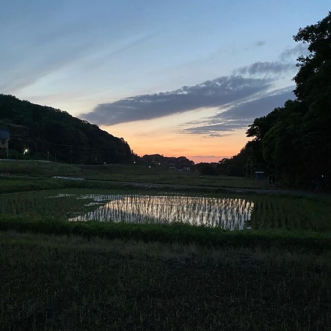 週末は富津市で過ごしています。例年、5月下旬&#12316;6月は、内房にホタルがたくさん出るという情報を聞きつけて、早速見学に行ってみました。<br /><br />場所は君津市の「三舟山」。ナビの目的地には「三舟の里観光案内所」と入れます。<br /><br />5月28日土曜日の日没は18時49分。サンセットを見届けてから車で三舟山突撃です。19時15分頃、駐車場到着。50台収容ですが、8割方埋まっています。もちろん、みんなホタル目当てです。通常は17時15分に駐車場がクローズするところ、ホタル見物客向けに夜も開放しているとのこと。