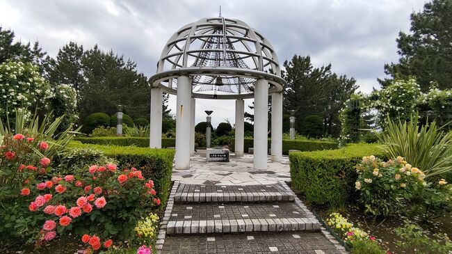 ばらは横浜市の花であり市内には山下公園やみなとの見える丘公園なでなど歴史あるばら園が多いが、金沢区の八景島シーパラダイスにもバラ園があることをご存知だろうか。５月のバラフェスタが開催された週末に約半年振りのシーパラと海の公園等の散策を楽しんだ。ばらの見頃の時期は終わり、水無月のあじさいの見頃になっているので、ぜひとも丘の上にも登ってみよう。