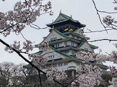 大阪訪問記 2022年4月　桜の大阪城