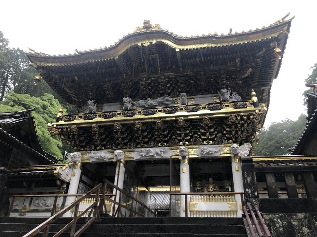関東出張で1日空いていたので、ご先祖様が行きたいと言っていたらしい、日光東照宮へ行って見ることにしました。<br />しかし、天気予報は朝から冷たい雨で・・・・?<br />