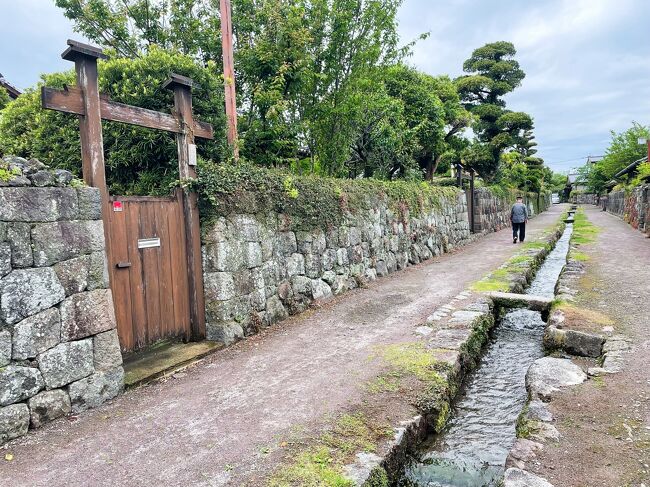 長崎は今日も雨だった～♪バスで巡る天草・島原の旅【4】湧水と鯉巡り！水の都、島原編