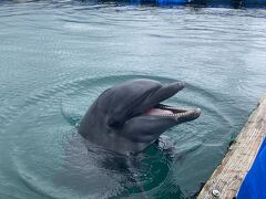 八重山諸島へ①