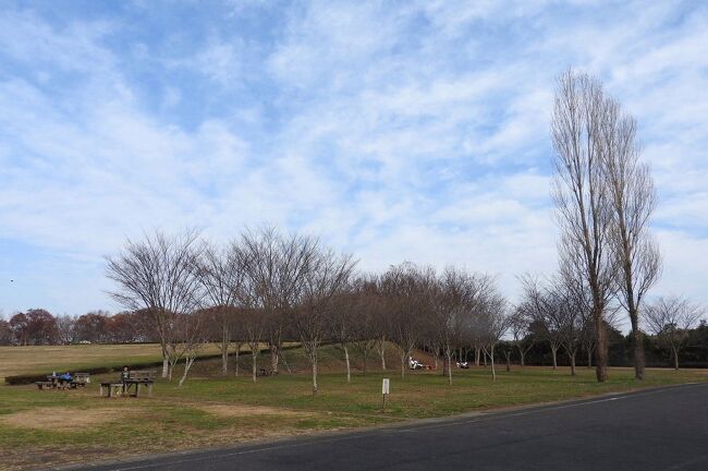 　茨城県水郷県民の森でバードウォッチングを楽しみました。<br />表紙写真は、水郷県民の森野外活動広場の風景です。<br />