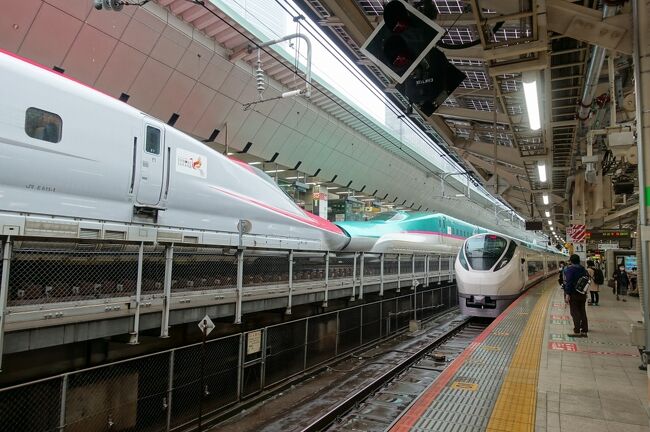 つくば行くならやっぱりTX?＆東京駅で列車ウオッチング【親子で東京往復記2022年5月編その３】