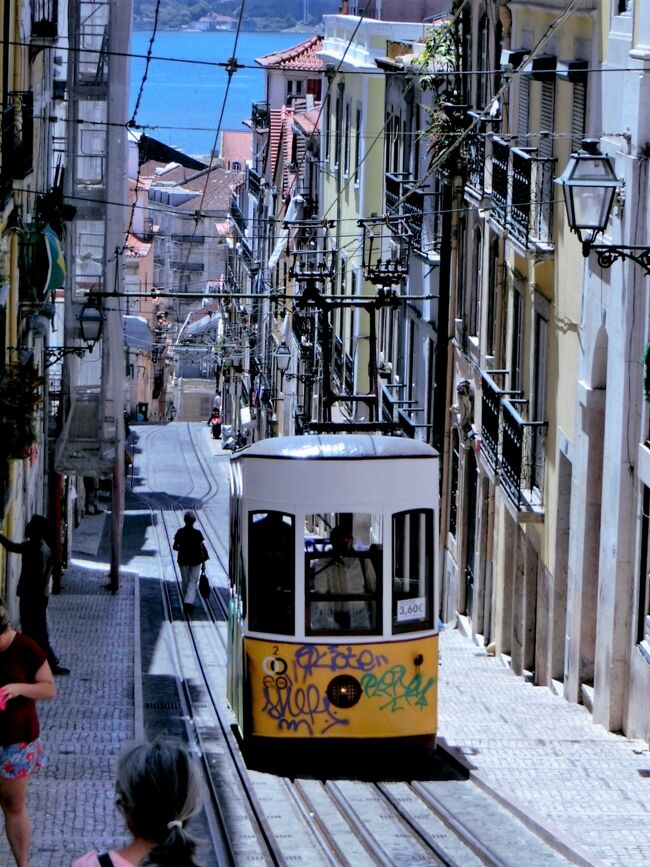 6月10日は【ポルトガルの日】【路面電車の日】<br />と言うことで、ポルトガルの&#128651;路面電車&#128651;<br /><br />イベリア半島の西、テージョ川沿いに位置する<br />【7つの丘の街】首都リスボン<br />※ポルトガル語のLisboaという響きも好きです<br /><br />どこか郷愁を感じる街並みに溶け込んで<br />路面電車が市民と観光客の足として活躍しています！<br />※最後の写真はレトロなケーブルカー<br /><br /><br />また、6月10日は天才建築家ガウディの<br />命日でもあります&#128591;<br />1926年6月10日<br />ガウディは路面電車に轢かれ亡くなりました&#128591;