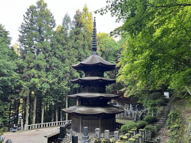 善光寺でのお参りを昼過ぎに終えて、この日の宿泊先の別所温泉へ。<br />しなの鉄道、上田電鉄と乗り継いで１時間ちょっと。湯の花が浮かぶ昔ながらの温泉宿でのんびりと1泊しました。<br />国宝の安楽寺八角三重塔、重文の常楽寺石造多宝塔など、見どころいっぱい。<br />別所温泉からの上田への帰路、途中下之郷で降りて、池の中に社殿が浮かぶ生島足島神社へ。