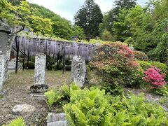 花を探して　軽井沢