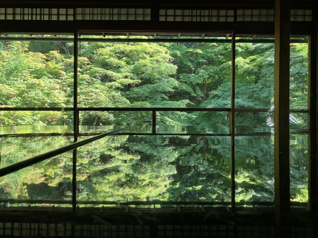 5月の一時帰国中、<br />大好き京都に今回は宿泊で。<br />5月の青紅葉にひたすらうっとり旅