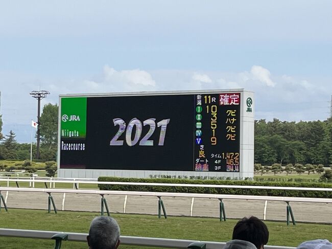 久しぶりの１泊での旅行です。今回は近場で競馬が観戦できる新潟に行ってきました。久しぶりの新潟でした。<br />飲み会は控えたので、夜は駅中にあるへぎ蕎麦のお店で少しつまんでから天ぷら付きのへぎ蕎麦をいただきました。次の日は朝から新潟競馬場を堪能してきました。そこそこ、お客様も入っていて盛り上がっていました。大分、脱コロナがすすんだようです。夕飯は生姜ラーメンを食べたいので青島食堂までてくてく歩いていきました。初めての賞がラーメンでしたが、生姜の味は薄めでしたがあっさり系でよかったかと思います。<br />今年からは少しづつ長距離の旅行を増やしたいですね。