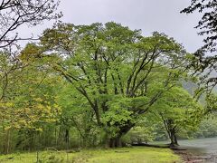 ふだん着の休日　梅雨に入った久しぶりの奥日光でも雨でした　＿1と2