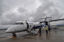 2022年6月南九州鉄道旅行1（ANA便で福岡空港へ）