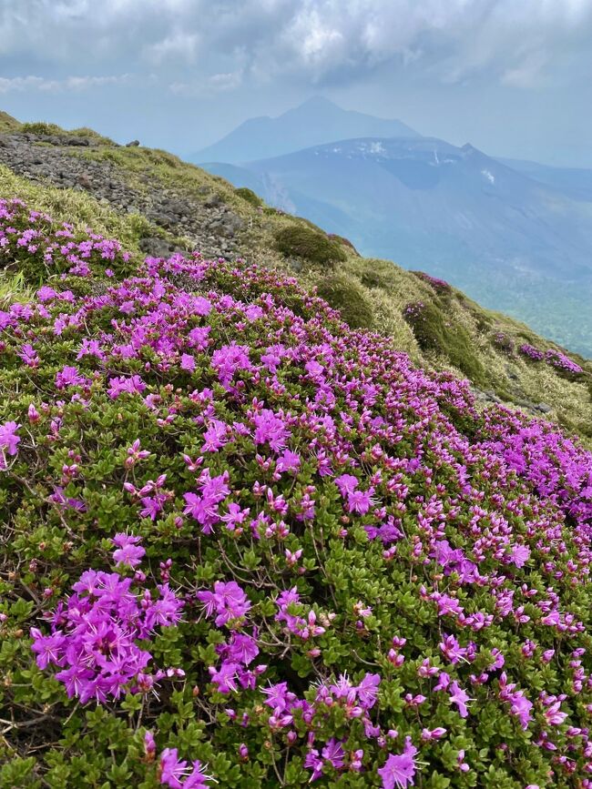 霧島連山はミヤマキリシマ真っ盛り。5月の鹿ヶ原・矢岳・竜王山、高千穂峰・二子石縦走に続いて、えびのエコミュージアムセンター駐車場から韓国岳に登ってみました。今回で4回目になります。<br /><br />7合目あたりまで登ると、山の斜面にミヤマキリシマが咲き誇っていました。8合目あたりでは眼下の大浪池を背景に、今らしい風景を目にすることができました。あいにく雲の多い日でしたが、山頂からは一瞬だけ高千穂峰も見られました。<br /><br />山頂付近で昼食をとった後は大浪池方向にくだり、林の中を歩いてから、つつじヶ丘に立ち寄って駐車場に戻りました。歩いた後のソフトクリームが美味しく感じました。<br /><br />「 ミヤマキリシマを愛でる 1.」 鹿ヶ原から矢岳、竜王山はコチラ<br />https://4travel.jp/travelogue/11759511<br /><br />「ミヤマキリシマを愛でる 2.」 御鉢・高千穂峰・二子石 縦走はチコラ<br />https://4travel.jp/travelogue/11759950<br /><br />8分半のビデオにまとめてみました<br />https://youtu.be/cACKIR17zNY