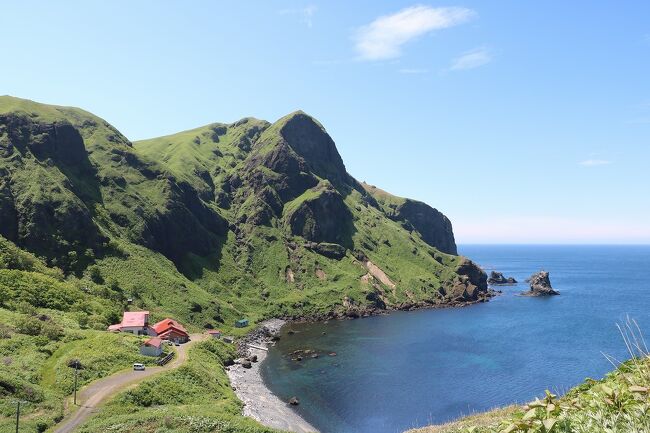 昨年の7月に礼文・利尻島を約1週間の旅程で観光した際、見られなかったレブンアツモリソウの群生した花をどうしても見たくなったので、今回は団体ツアーで向かいました。<br />今回の旅程は、<br />6月4日(土）神戸空港から新千歳空港へ行き、そこからバスで稚内に向かい宿泊。<br />6月5日(日）宗谷岬を観光後、礼文島に渡り、レブンアツモリソウ群生地、スカイ岬とスコトン岬を観光して宿泊。<br />6月6日(月）桃岩展望台へのハイキング後、桃台猫台展望台と北のカナリアパーク観光後利尻島に渡って、姫沼、オタトマリ沼、仙法志御崎公園、カムイテラスを観光後に宿泊。<br />6月7日(火）利尻島から稚内経由新千歳空港にバス移動して飛行機で神戸空港に戻って帰宅。<br />昨年と違って団体ツアーのため結構慌ただしい旅行でした。<br />今年の利尻・礼文島は例年と比較しとても寒く、しかも風がとても強いのでとても寒かったです。<br />その分、レブンアツモリソウの開花も遅れているようで、ちょうど見頃になっていました。<br />この旅行は４回の旅行記で紹介し今回は、３日目の午前中に観光した礼文島を紹介します。<br />この日は天気予報通りの快晴。<br />昨年と違って、青空のもと桃岩展望台までのハイキングができました。<br />ただ高山植物は、昨年の７月のほうがいろんな花が沢山咲いていました。