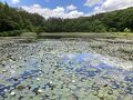 土湯温泉の旅行記