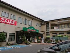 (蕎麦）貧乏でどケチな私、母を連れて長野県へ２（山菜）