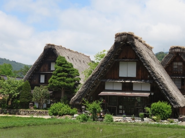 梅雨入り間近な6月の白川郷<br /><br />通行止めや開通前など、絶景スポット行けないまま、食と街歩き楽しむ旅となりました<br /><br />曇り空ではありましたが、翌日は梅雨の合間の晴れにもなり、散歩と空気感じる白川郷体感<br /><br />緑がけぶる空間に日本の原風景のイメージが流れ出す<br /><br />澄んだ空気と自然の音に癒される時間旅行となりました