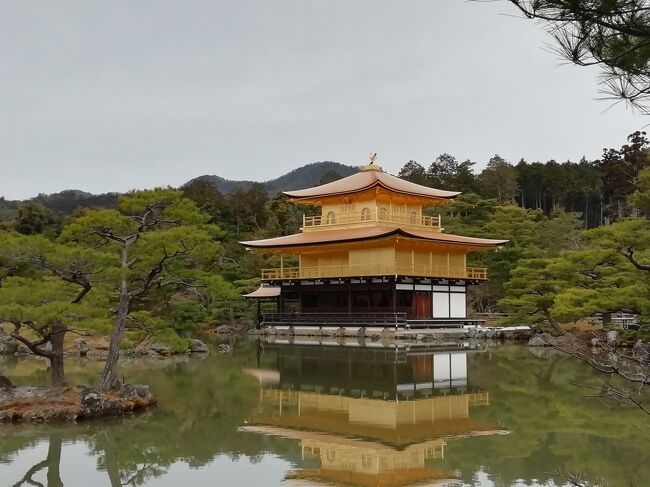2021年3月に京都と奈良に旅行へ行きました。<br />いわゆる王道な観光名所をまわりました。<br /><br /><br />今回は東京から夜行バスで京都まで行きました。<br />早朝に京都に着いたので駅のカフェでモーニングを頂きました。<br />そして市バスで鹿苑寺金閣まで行きました。<br /><br />＜１．夜行バスで東京→京都、鹿苑寺金閣へ編＞←イマココ