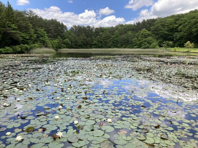 ひとりうつくしまふくしまフェス②-1　土湯こけし祭りと福島花回廊の一日め