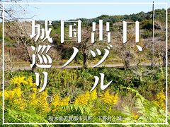 日、出ヅル国ノ城巡リ。下野村上城