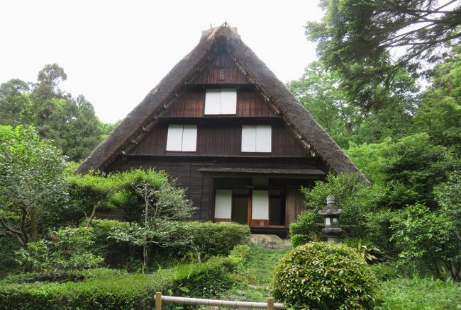 東山動植物園のバラ園の紹介です。