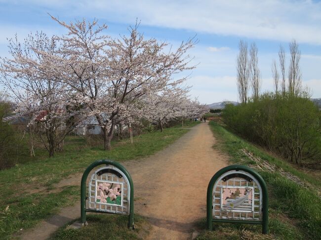 2022年GW北海道3泊4日の旅＜第1日＞小樽貴賓館→フゴッペ洞窟→余市