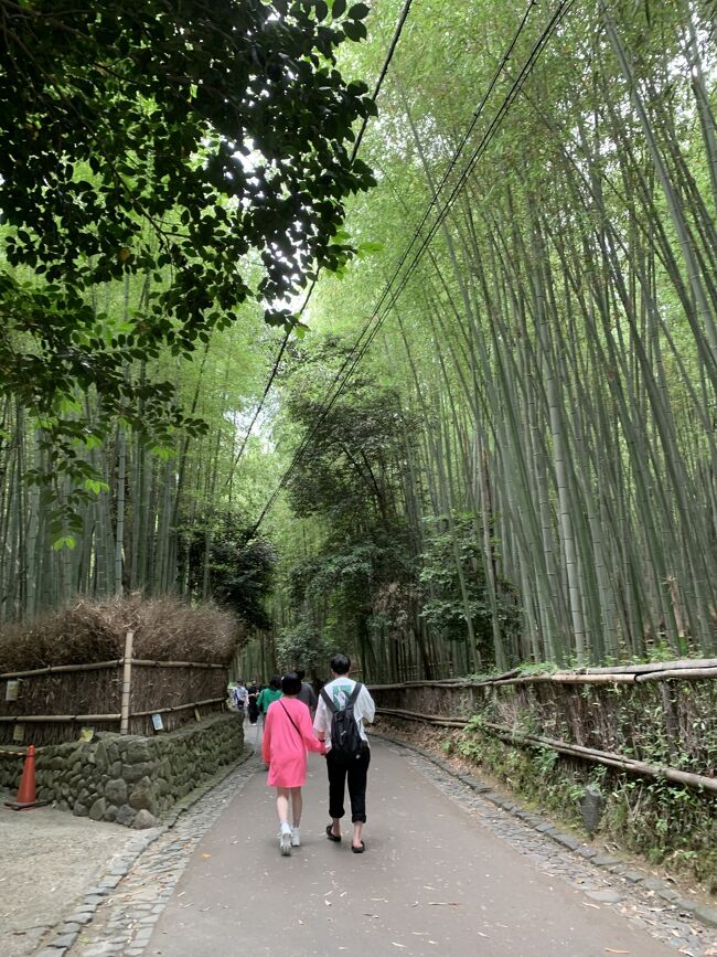 コロナが少し落ち着いた頃近距離への旅行支援が始まった。<br />せっかくなので利用してみようかと調べてみると、トロッコ列車と保津川くだりがセットになったプランを発見。<br />両方とも行きたいなと思ってもなかなか行かなかった場所。<br />こういう機会に行ってみようと友達を誘って行くことに。<br />定期的に会ってた子だけどコロナ禍になってからは会いづらくなったので久々の再会。<br />友達も京都在住だけどトロッコ列車も保津川下りも未体験。<br />近くに住んでるとそうなるよね。<br />今回はサクッと日帰りの嵐山。<br />詳細は旅行記をどうぞ。