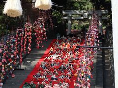 2022年３月　河津桜桜祭りと稲取素盞嗚神社の日本一の雛段飾りを見に時之栖前泊して行ってきました