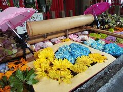 梅雨の晴れ間に - 東京御朱印プラス花手水めぐり第３弾