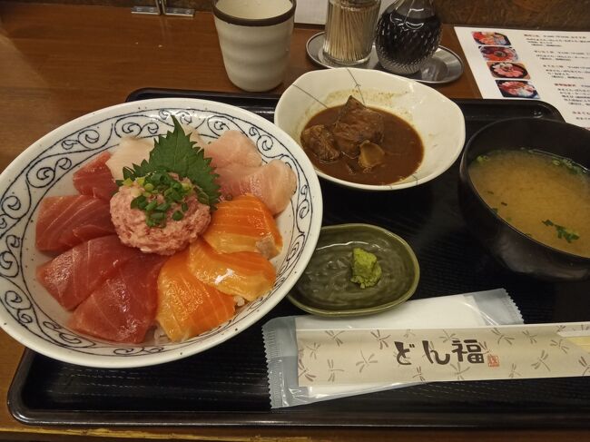 清水にある東海大学海洋科学博物館へ行きました。そして、昼食で海鮮丼をいただきました。