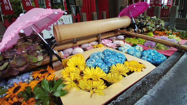 昨年6月の東京御朱印巡りの旅行記です。御朱印って、ちょっと色合い的に華やかではないなぁ～と思っていましたが、花手水の登場で意気込みが変わりました。梅雨時で天気が悪いと、外出するのも億劫になりがちですが、花手水があればむしろ雨にぴったり。ということで、御朱印プラス花手水巡りに出かけました。今これを書いているとよく分かったのですが、昨年はインスタグラムとかツイッターとかを見ていなかったので、あると思っていた花手水がなくてがっかりした記憶が蘇ってきました。<br />次の第４弾は、もうちょっと事前準備をして行きたいと思いながら、この旅行記を書きました。